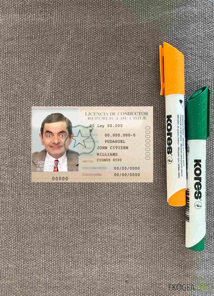 Chili licence de conducteur photolook FRONT